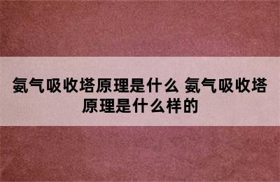 氨气吸收塔原理是什么 氨气吸收塔原理是什么样的